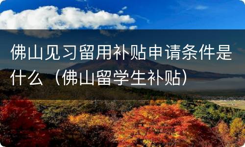 佛山见习留用补贴申请条件是什么（佛山留学生补贴）