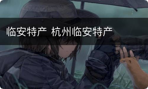 临安特产 杭州临安特产