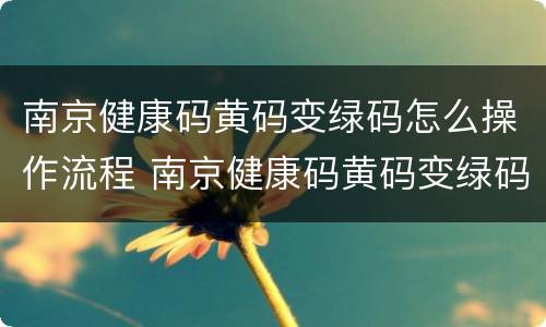 南京健康码黄码变绿码怎么操作流程 南京健康码黄码变绿码怎么操作流程图