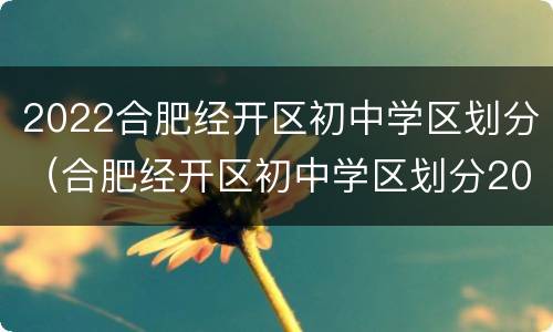 2022合肥经开区初中学区划分（合肥经开区初中学区划分2020）