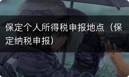 保定个人所得税申报地点（保定纳税申报）