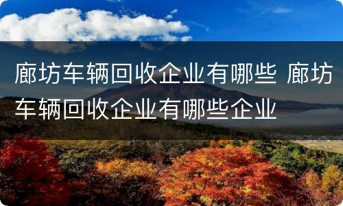 廊坊车辆回收企业有哪些 廊坊车辆回收企业有哪些企业