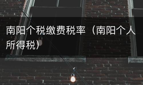 南阳个税缴费税率（南阳个人所得税）