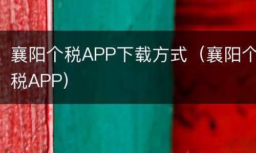 襄阳个税APP下载方式（襄阳个税APP）