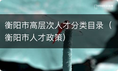 衡阳市高层次人才分类目录（衡阳市人才政策）