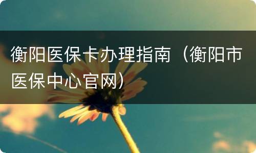 衡阳医保卡办理指南（衡阳市医保中心官网）