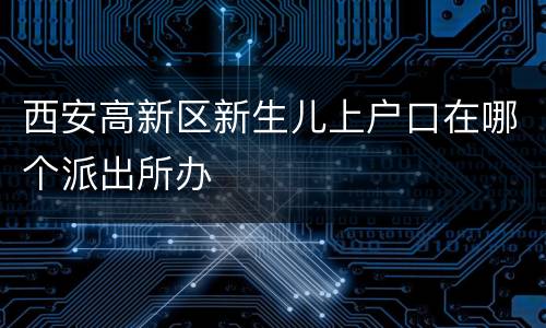 西安高新区新生儿上户口在哪个派出所办