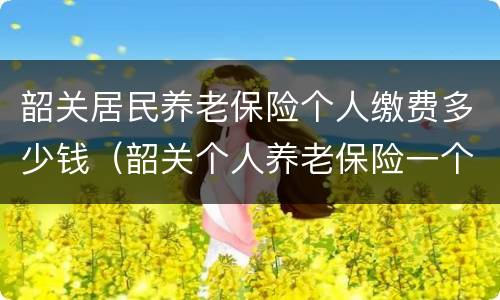 韶关居民养老保险个人缴费多少钱（韶关个人养老保险一个月多少钱）