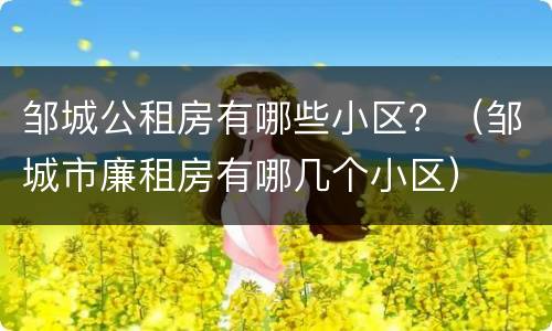 邹城公租房有哪些小区？（邹城市廉租房有哪几个小区）