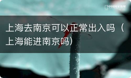 上海去南京可以正常出入吗（上海能进南京吗）