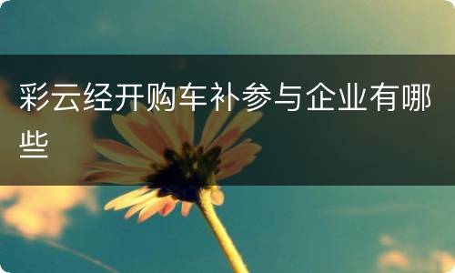 彩云经开购车补参与企业有哪些