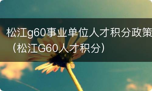 松江g60事业单位人才积分政策（松江G60人才积分）