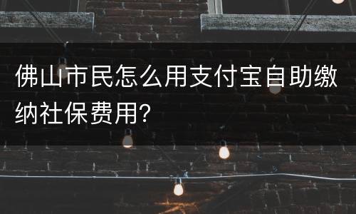 佛山市民怎么用支付宝自助缴纳社保费用？