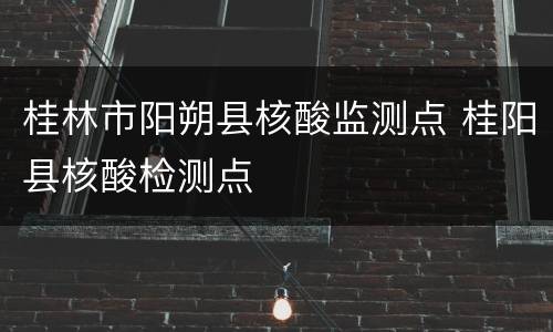 桂林市阳朔县核酸监测点 桂阳县核酸检测点
