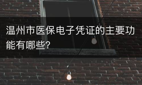 温州市医保电子凭证的主要功能有哪些？