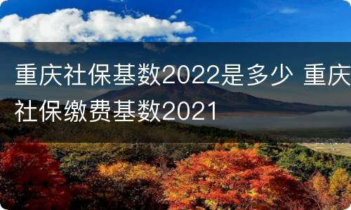 重庆社保基数2022是多少 重庆社保缴费基数2021