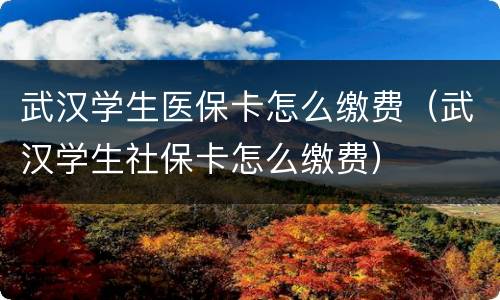 武汉学生医保卡怎么缴费（武汉学生社保卡怎么缴费）