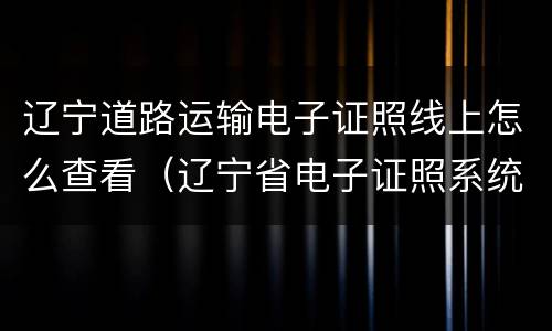 辽宁道路运输电子证照线上怎么查看（辽宁省电子证照系统）