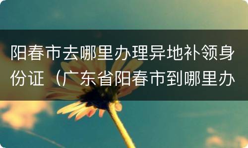 阳春市去哪里办理异地补领身份证（广东省阳春市到哪里办理异地身份证）