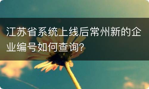 江苏省系统上线后常州新的企业编号如何查询？