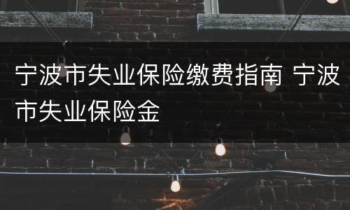 宁波市失业保险缴费指南 宁波市失业保险金