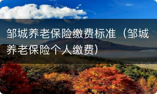 邹城养老保险缴费标准（邹城养老保险个人缴费）