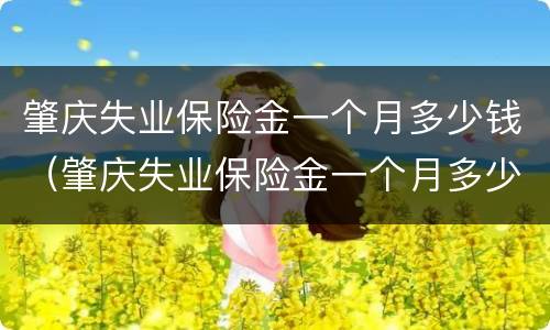 肇庆失业保险金一个月多少钱（肇庆失业保险金一个月多少钱啊）