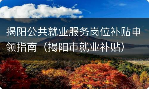 揭阳公共就业服务岗位补贴申领指南（揭阳市就业补贴）