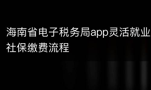 海南省电子税务局app灵活就业社保缴费流程