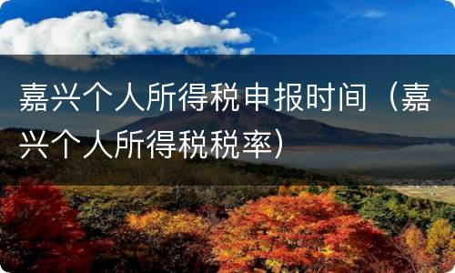 嘉兴个人所得税申报时间（嘉兴个人所得税税率）