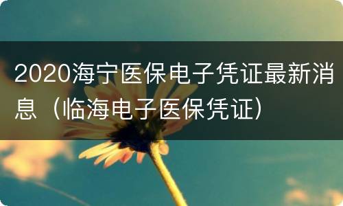 2020海宁医保电子凭证最新消息（临海电子医保凭证）