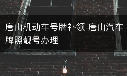 唐山机动车号牌补领 唐山汽车牌照靓号办理