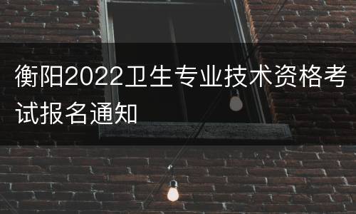 衡阳2022卫生专业技术资格考试报名通知