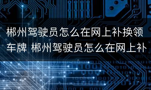郴州驾驶员怎么在网上补换领车牌 郴州驾驶员怎么在网上补换领车牌号