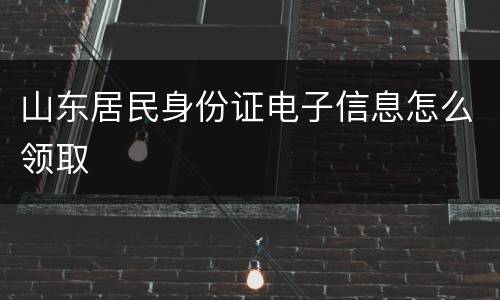 山东居民身份证电子信息怎么领取