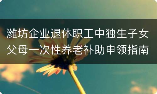 潍坊企业退休职工中独生子女父母一次性养老补助申领指南