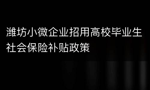 潍坊小微企业招用高校毕业生社会保险补贴政策