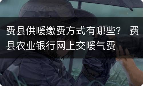 费县供暖缴费方式有哪些？ 费县农业银行网上交暖气费
