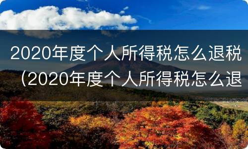 2020年度个人所得税怎么退税（2020年度个人所得税怎么退税呢）
