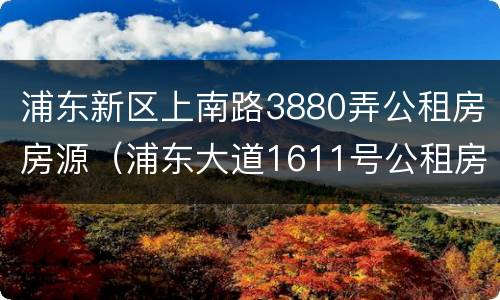 浦东新区上南路3880弄公租房房源（浦东大道1611号公租房）