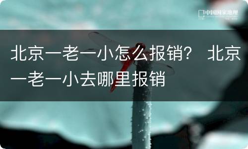 北京一老一小怎么报销？ 北京一老一小去哪里报销