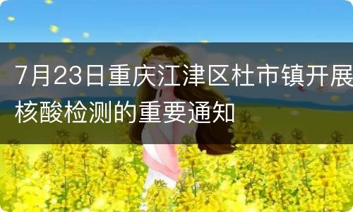 7月23日重庆江津区杜市镇开展核酸检测的重要通知