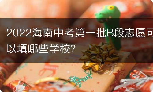 2022海南中考第一批B段志愿可以填哪些学校？