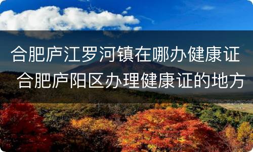 合肥庐江罗河镇在哪办健康证 合肥庐阳区办理健康证的地方