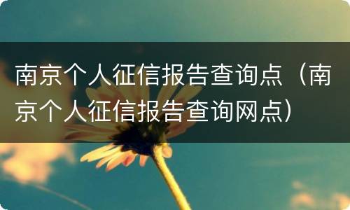 南京个人征信报告查询点（南京个人征信报告查询网点）