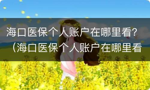 海口医保个人账户在哪里看？（海口医保个人账户在哪里看余额）