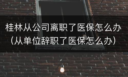 桂林从公司离职了医保怎么办（从单位辞职了医保怎么办）