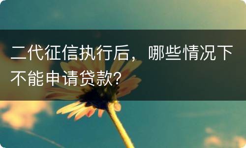 二代征信执行后，哪些情况下不能申请贷款？