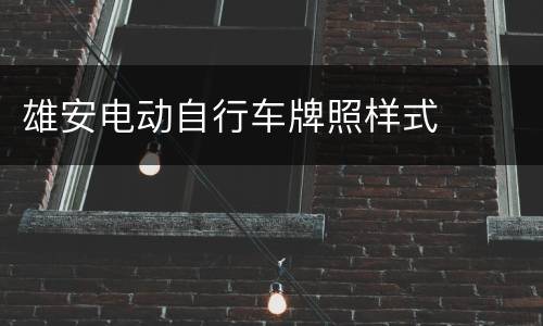 雄安电动自行车牌照样式