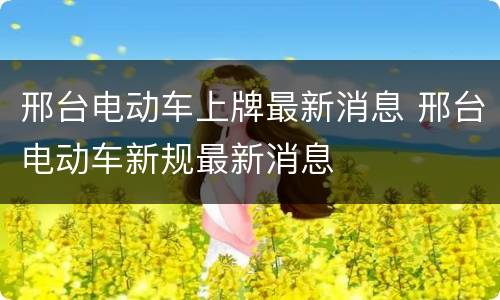 邢台电动车上牌最新消息 邢台电动车新规最新消息
